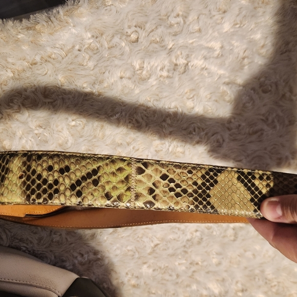 Python Belt Genuine Made In Italy Reptiles House Brass - Picture 6 of 10